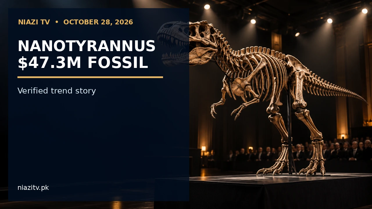 Nanotyrannus Fossil Sells for $47.3 Million: Why the Mini T. Rex Is Trending