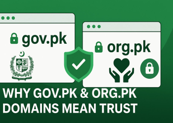 Why GOV.PK & ORG.PK Domains Build Trust and Authority in Pakistan