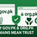 Why GOV.PK & ORG.PK Domains Build Trust and Authority in Pakistan