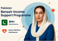 8171 CNIC Verification BISP Payment Guide 2025 – Check Eligibility & Status